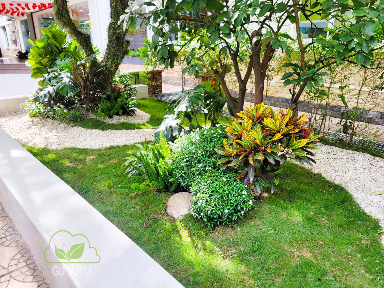 Thiết kế tiểu cảnh khuôn viên trường học